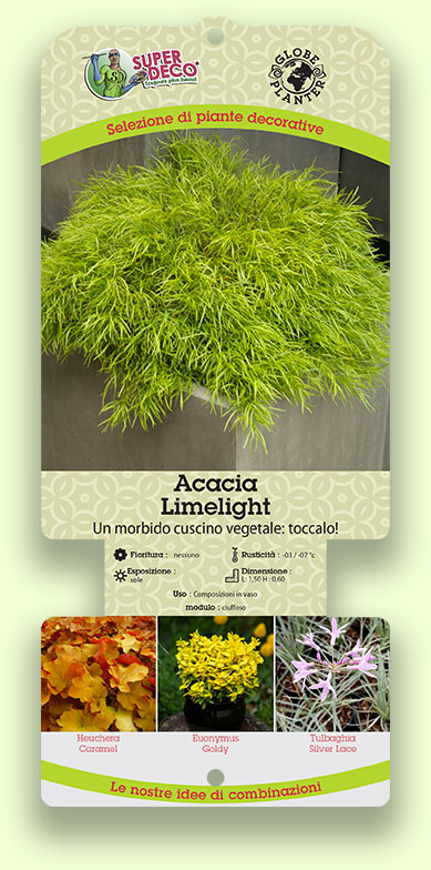 Etichetta Globe Planter