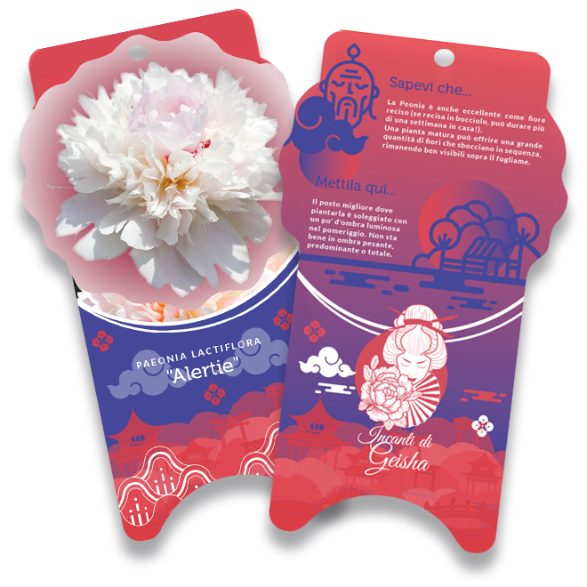 Etichette Incanti di Geisha