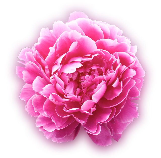 Fiore Incanti di Geisha