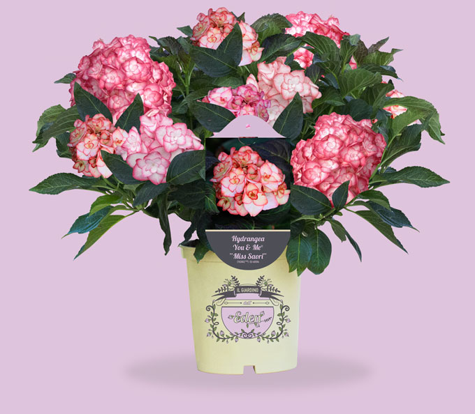 Il Giardino dell'Eden