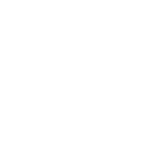 Piante per vasi grandi e particolari