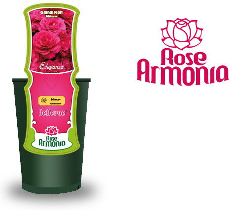 Rise Armonia Arena Vivai