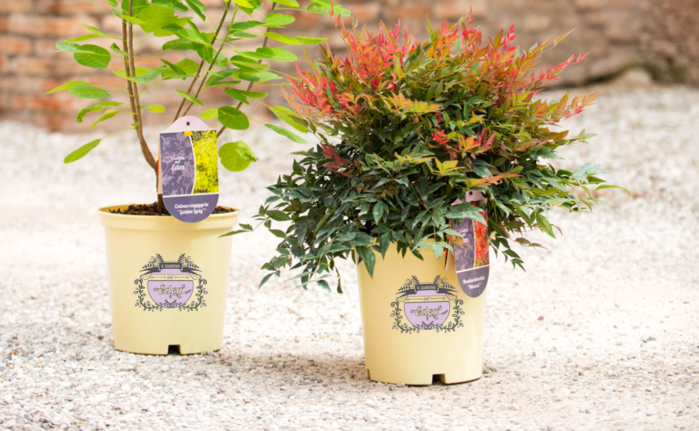 Il Giardino dell'Eden