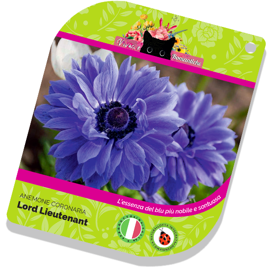 Etichette che si fanno capire con la giusta leggerezza