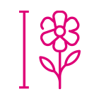 Caratteristiche fiori