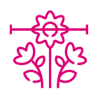 Caratteristiche fiori