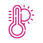 Caratteristiche fiori